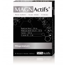 Aragan Synactifs MagnActifs 60 gélules